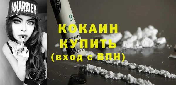 ECSTASY Алзамай
