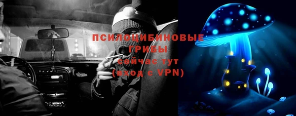 ECSTASY Алзамай