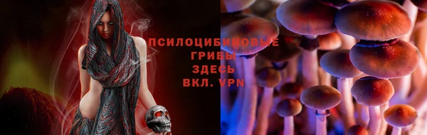 ECSTASY Алзамай