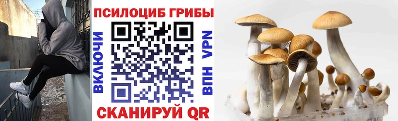 Псилоцибиновые грибы Magic Shrooms  купить  сайты  Большой Камень 