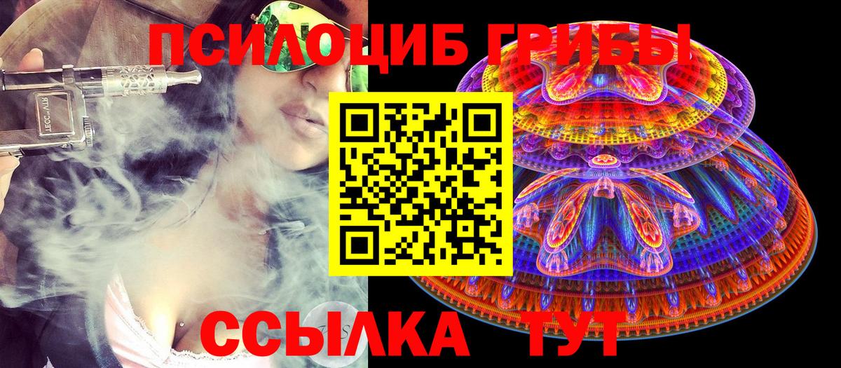 Псилоцибиновые грибы GOLDEN TEACHER  Псилоцибиновые грибы мухоморы  Вход с VPN  Большой Камень 