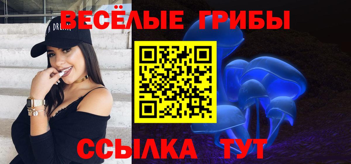 Галлюциногенные грибы мухоморы Большой Камень
